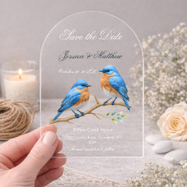 Ivory Pastel Liefdesvogels Romantische Blauwe Voge Acryl Uitnodigingen
