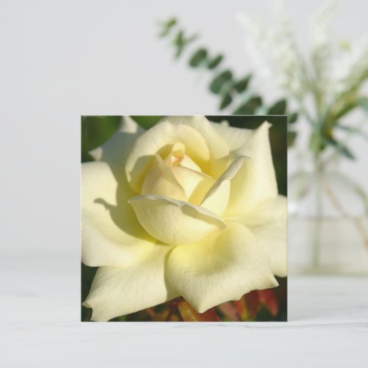 Ivory Roos Uitnodiging (Staand voorkant)