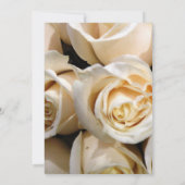 Ivory Roos Weddenschap Kaart (Achterkant)