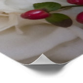 Ivory-Rozen op canvas Poster (Hoek)