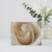 Ivory White Rose Flower Briefkaart (Staand voorkant)