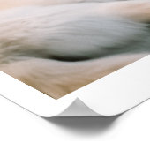 Ivory Wolf Chroma | Wolven en een auto Poster (Hoek)