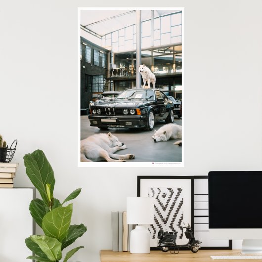 Ivory Wolf Chroma | Wolven en een auto Poster (Thuiskantoor)