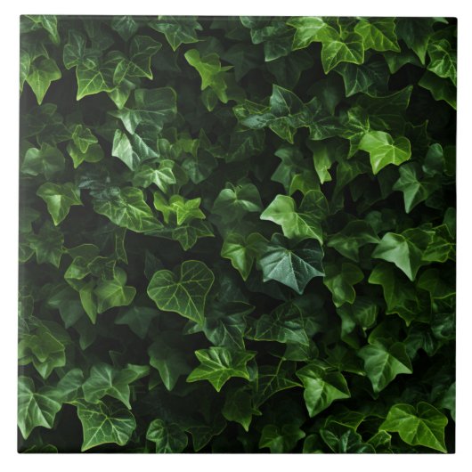 Ivy achtergrond, groene bladeren, naturalistisch r tegeltje (Voorkant)