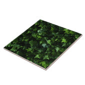 Ivy achtergrond, groene bladeren, naturalistisch r tegeltje (Zijkant)