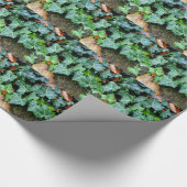 Ivy and field stone cadeaupapier (Hoek)
