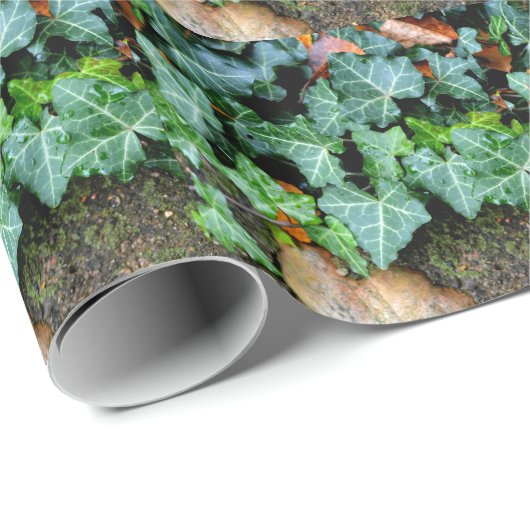 Ivy and field stone cadeaupapier (Rol Hoek)