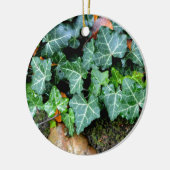 Ivy and field stone keramisch ornament (Links)