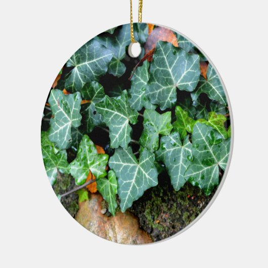 Ivy and field stone keramisch ornament (Links)