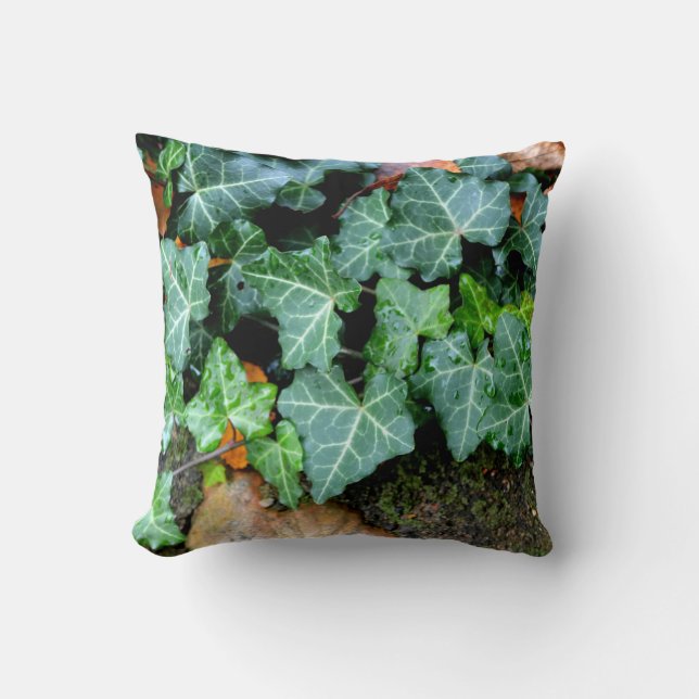 Ivy and field stone kussen (Voorkant)