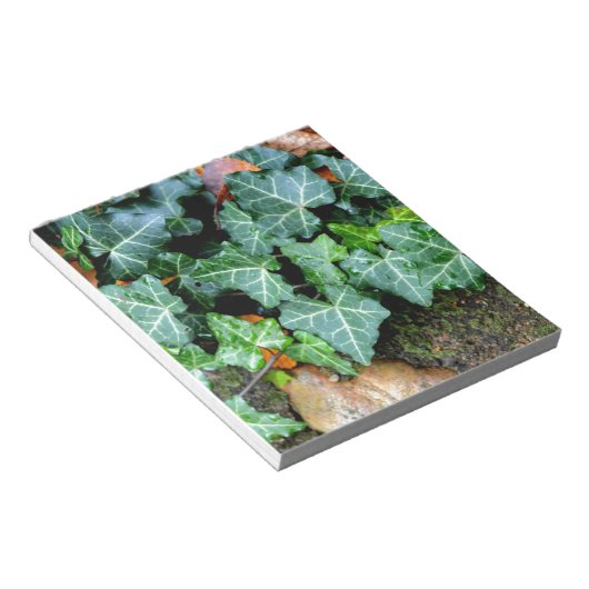 Ivy and field stone notitieblok (Schuin)