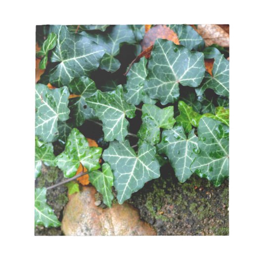 Ivy and field stone notitieblok (Voorkant)