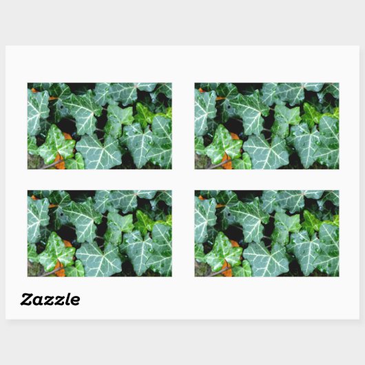 Ivy and field stone rechthoekige sticker (Vel)