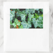 Ivy and field stone rechthoekige sticker (Tas)