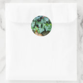 Ivy and field stone ronde sticker (Tas)