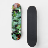 Ivy and field stone skateboard (Voorkant)