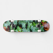 Ivy and field stone skateboard (Horizontaal)