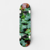 Ivy and field stone skateboard (Voorkant)