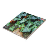 Ivy and field stone tegeltje (Zijkant)