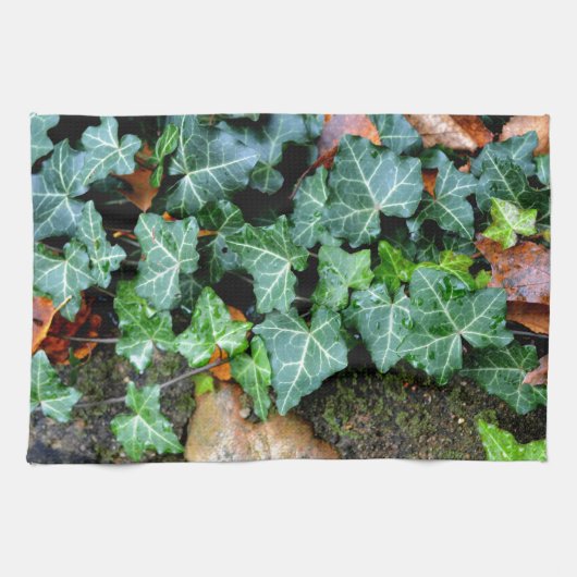 Ivy and field stone theedoek (Horizontaal)