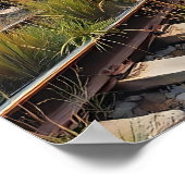 Ivy and Graffiti  Covered Abandoned Train  Poster (Hoek)