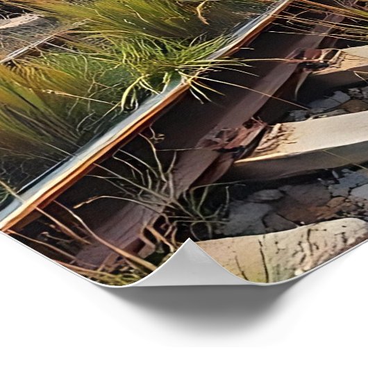 Ivy and Graffiti  Covered Abandoned Train  Poster (Hoek)