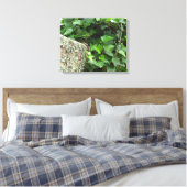 Ivy and Lichens - Martha's Vineyard Canvas Afdruk (Insitu (Slaapkamer))