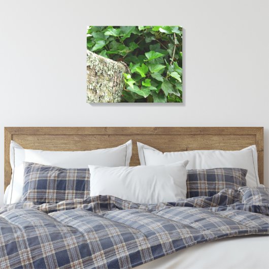 Ivy and Lichens - Martha's Vineyard Canvas Afdruk (Insitu (Slaapkamer))