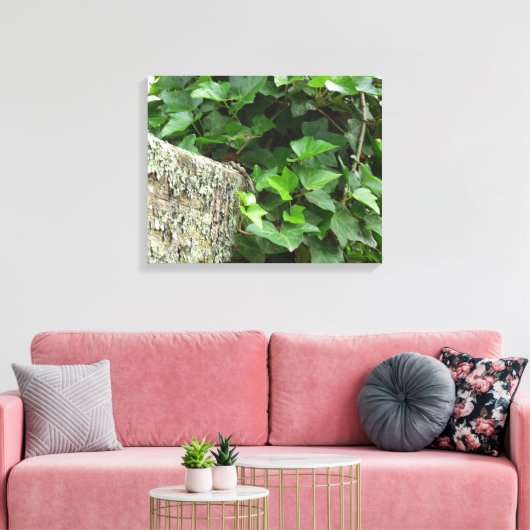 Ivy and Lichens - Martha's Vineyard Canvas Afdruk (Insitu (Woonkamer))