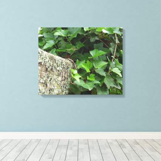 Ivy and Lichens - Martha's Vineyard Canvas Afdruk (Insitu (Houten vloer))
