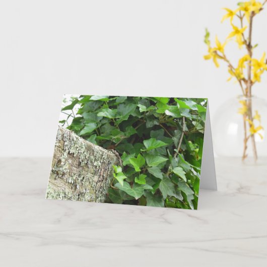 Ivy and Lichens - Martha's Vineyard Kaart (Gele Bloem)