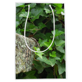 Ivy and Lichens - Martha's Vineyard Medium Cadeauzakje