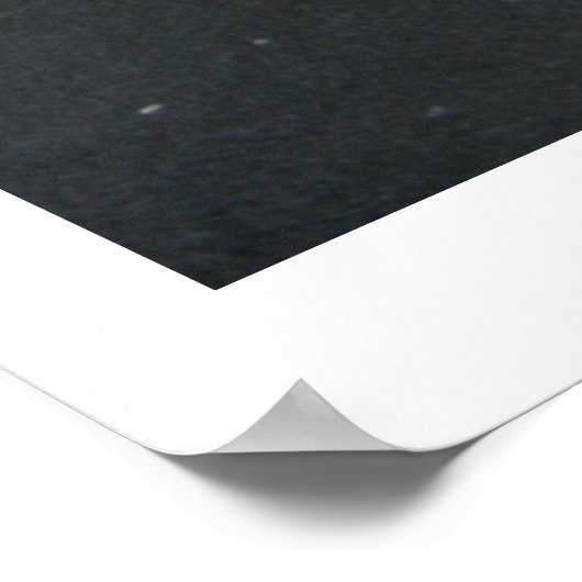 Ivy and Lights Poster (Hoek)