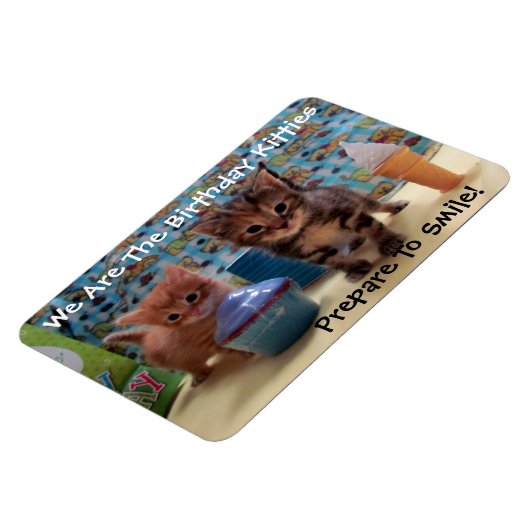 Ivy and Parker's Birthday Magnet - Cat / Kitten Magneet (Linkerzijde)