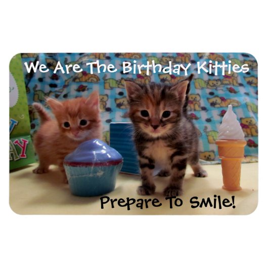Ivy and Parker's Birthday Magnet - Cat / Kitten Magneet (Horizontaal)