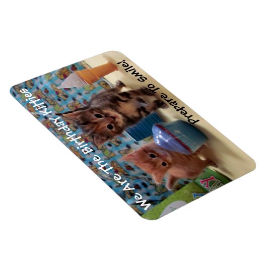 Ivy and Parker's Birthday Magnet - Cat / Kitten Magneet (Rechterzijde)