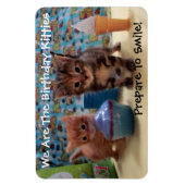 Ivy and Parker's Birthday Magnet - Cat / Kitten Magneet (Verticaal)