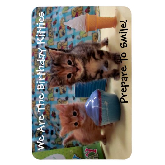 Ivy and Parker's Birthday Magnet - Cat / Kitten Magneet (Verticaal)