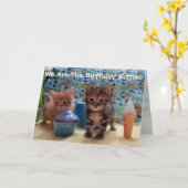 Ivy and Parker's Surprise - Cat Birthday Kaart (Gele Bloem)