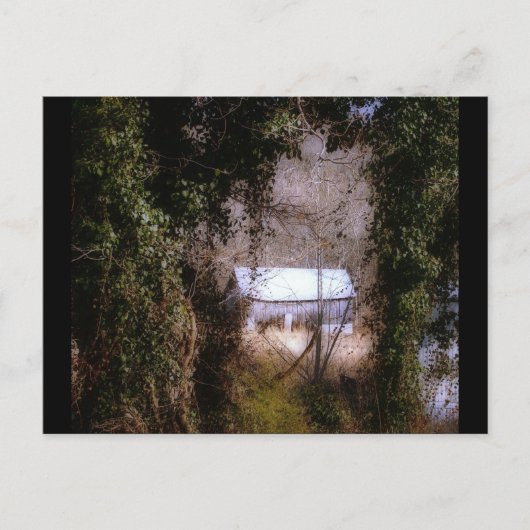 Ivy Barn Briefkaart (Voorkant)