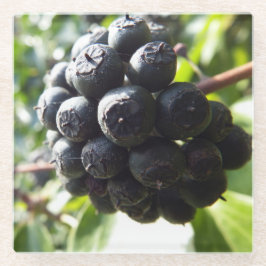 Ivy Berries Glass Onderzetter