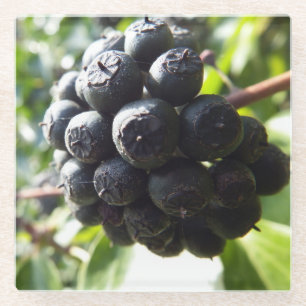 Ivy Berries Glass Onderzetter Glazen Onderzetter