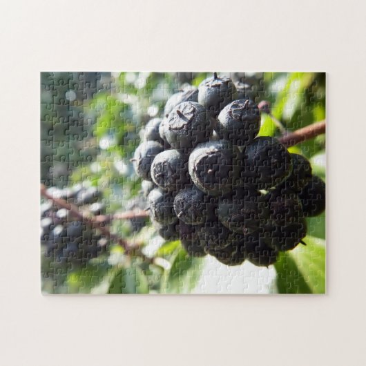 Ivy Berries Jigzaag Puzzle Legpuzzel (Horizontaal)