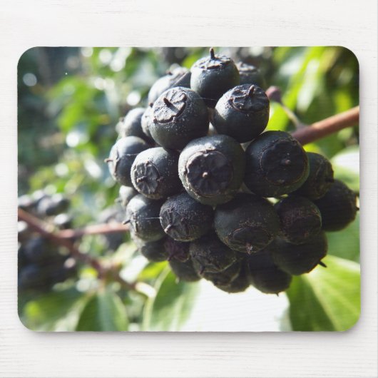 Ivy Berries Mousepad Muismat (Voorkant)