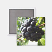 Ivy bessen magneet (Voorkant / Achterkant)