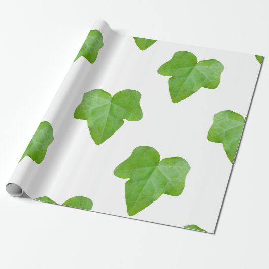 Ivy Blad Patroon Cadeaupapier (Uitgerold)