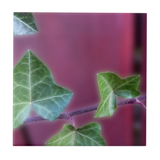 Ivy bladeren tegeltje (Voorkant)