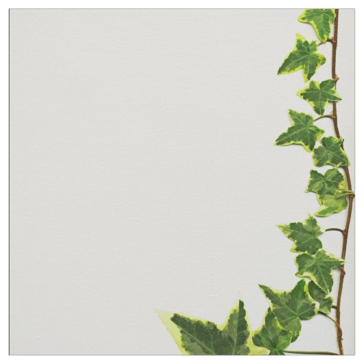 Ivy Border Stof (Swatch)