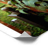 Ivy & Brick [Afdrukken] Poster (Hoek)