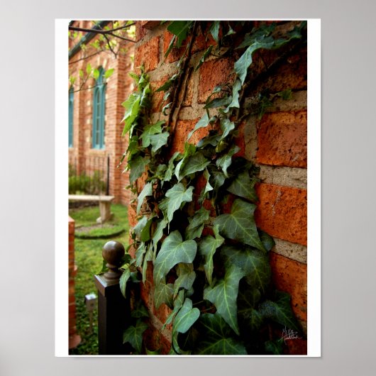 Ivy & Brick [Afdrukken] Poster (Voorkant)